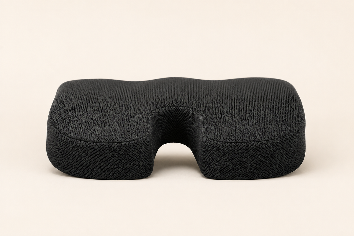 Coupe latérale : le coccyx suspendu dans la découpe en U