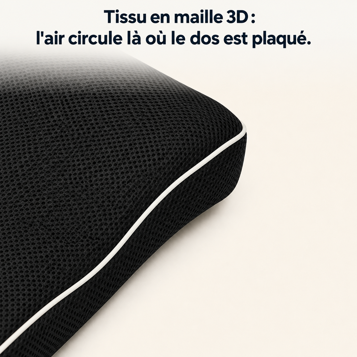 Coussin lombaire ergonomique Sedio, housse amovible à fermeture zippée