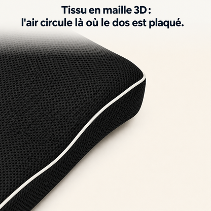 Coussin lombaire ergonomique Sedio, housse amovible à fermeture zippée